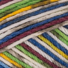 Charger l'image dans la galerie, Sirdar Baby Crofter DK