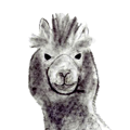 Load image into Gallery viewer, Illimani Eco-Llama
